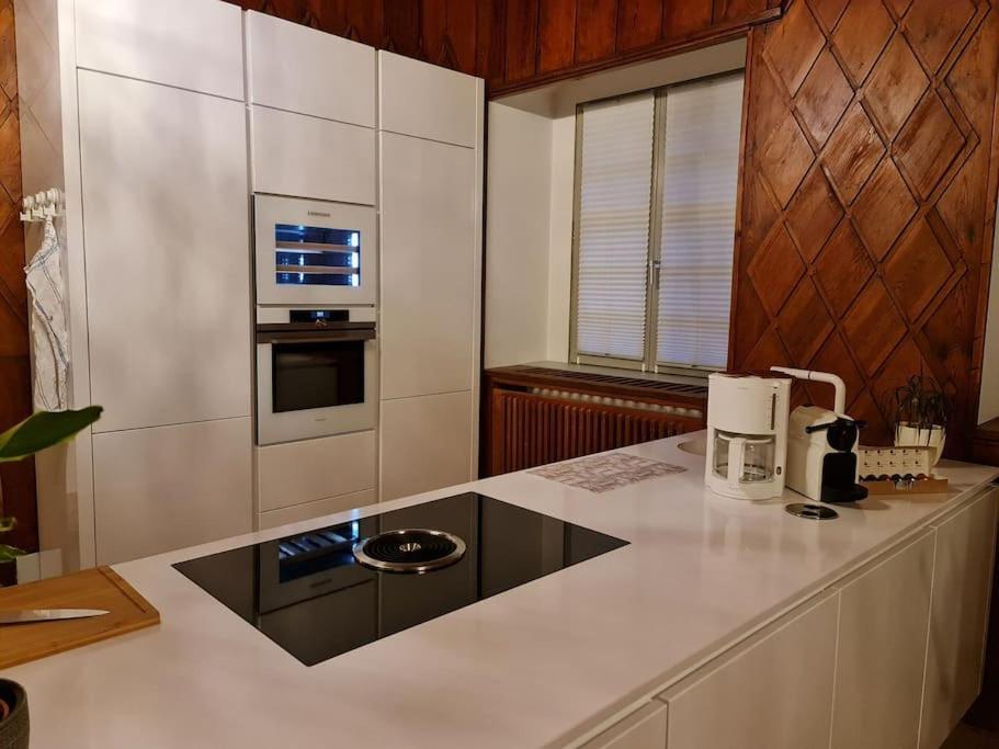 Appartements In Schoner Burganlage イェーナ エクステリア 写真