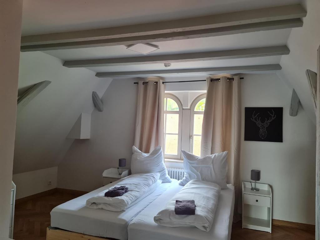 Appartements In Schoner Burganlage イェーナ エクステリア 写真